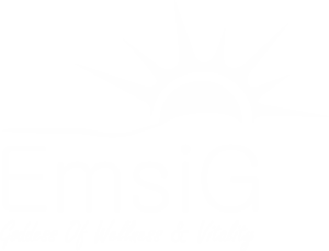 Emsig Global